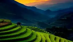 VIETNAM