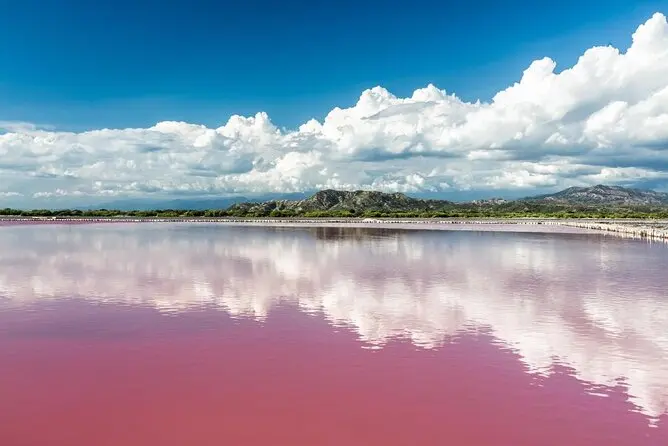 Diving into the Pink Lagoon: A Journey to Lake Retba