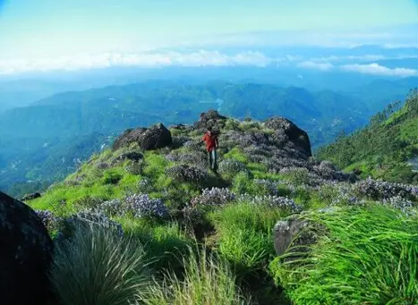 Lockhart Gap: A Breathtaking Window to Nature's Majesty